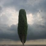 Verisimilitudes,Chapter Three:The cypress tree line ,No.C6,photomontage,2010,100*150cm,edition of 5