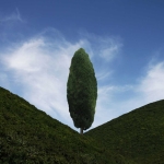 Verisimilitudes,Chapter Three:The cypress tree line ,No.C8,photomontage,2010,100*150cm,edition of 5
